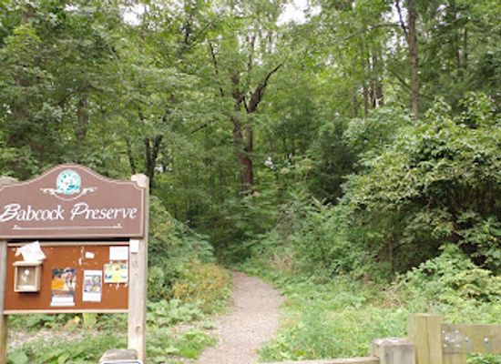 connecticut/greenwich/attraction/babcock-preserve