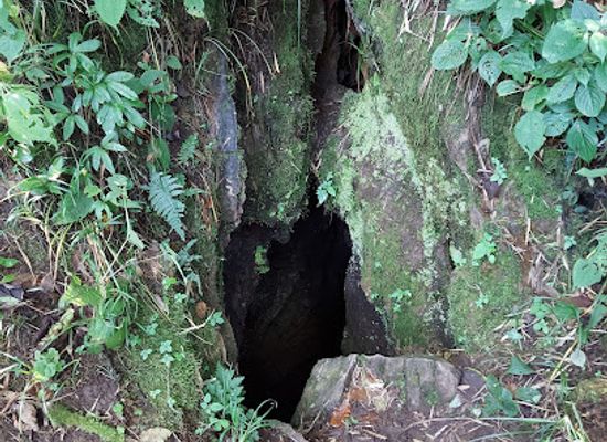 nepal/central-development-region/attraction/phulchowki-cave