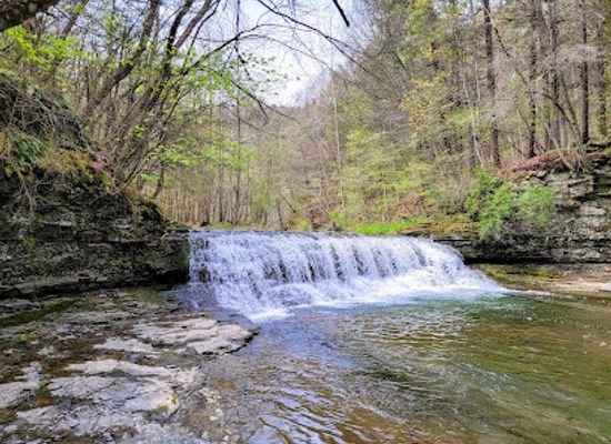 new-york/ithaca/downtown-ithaca/attraction/robert-h-treman-state-park