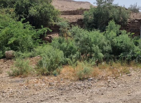 jordan/wadi-mujib/attraction/hot-water-spring