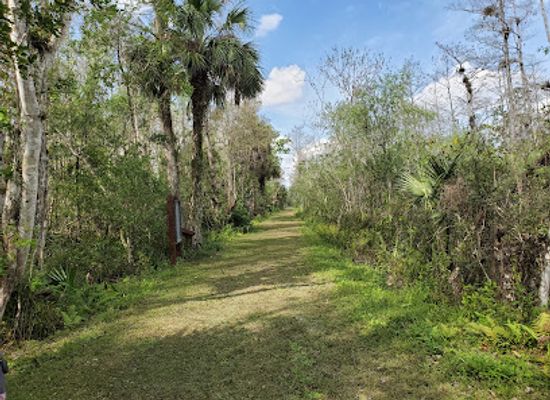florida/fakahatchee-strand-preserve-state-park/attraction/fire-prairie-trail