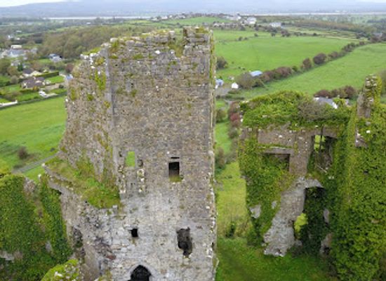ireland/county-limerick/attraction/carrigogunnell-castle
