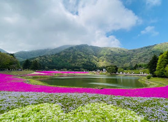 japan/mount-fuji/attraction/ryujin-ike