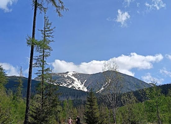 slovakia/tatras/attraction/vodopad-poprad