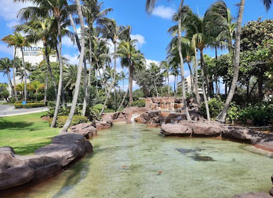 aruba/boca-catalina/attraction/palm-beach