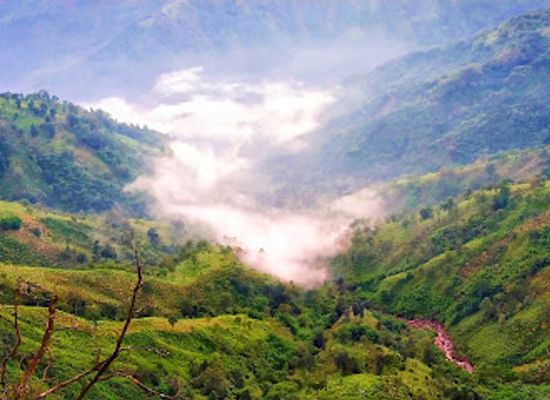 india/northeast-india/attraction/lum-kungoor