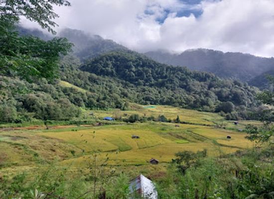 india/kohima/attraction/dzuleke