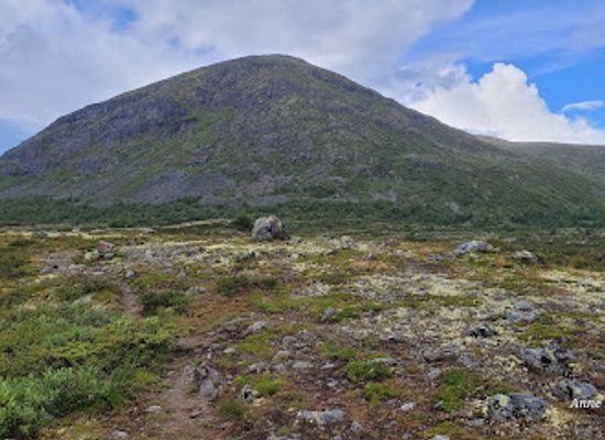 norway/oppland/attraction/jotunheimvegen