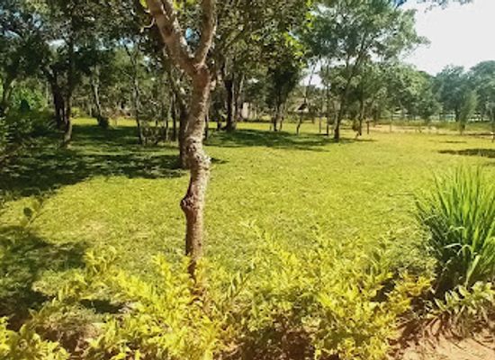 zambia/lusaka-national-park/attraction/villa-towa