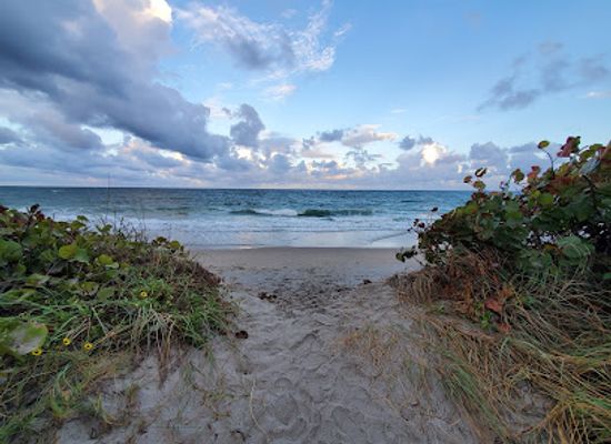 florida/fort-lauderdale-beach/attraction/dr-von-d-mizell-eula-johnson-state-park