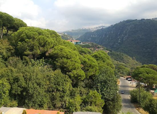 lebanon/metn/attraction/lebanese-marine-and-wildlife-museum