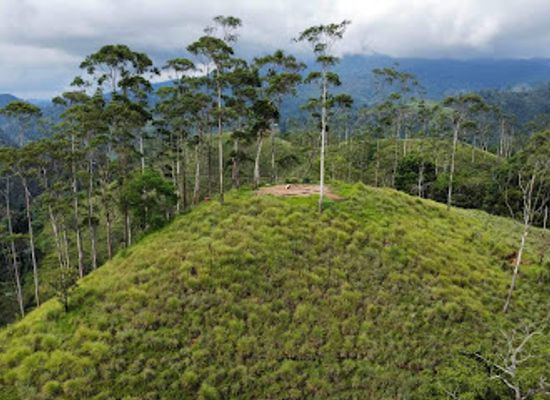 sri-lanka/ella/attraction/ella-pearl-mountain