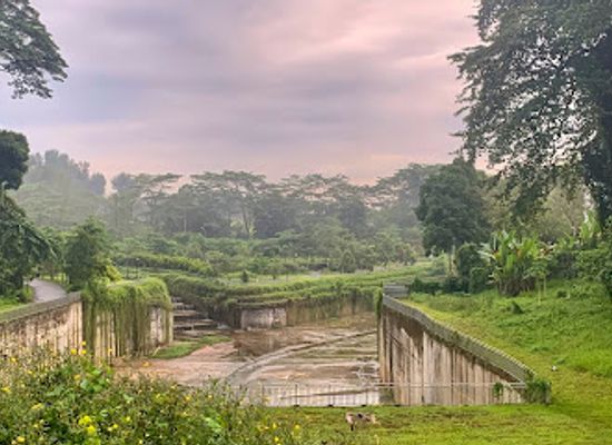 singapore/bukit-timah/attraction/bukit-timah-diversion-canal-rail-corridor