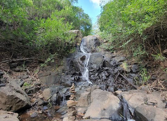 australia/darling-downs/attraction/highfields-falls