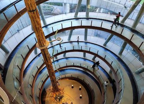 spain/barcelona/attraction/cosmocaixa-museum-of-science