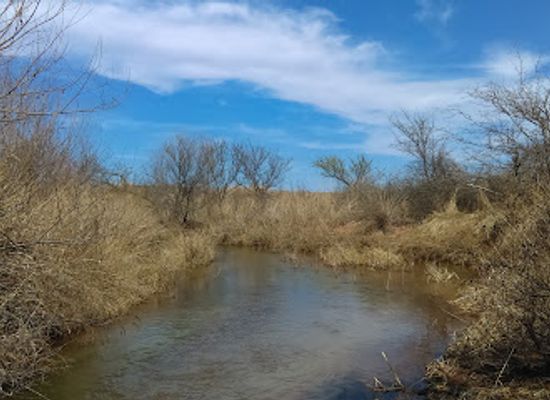 oklahoma/lake-and-trail-country/attraction/black-kettle-national-grassland
