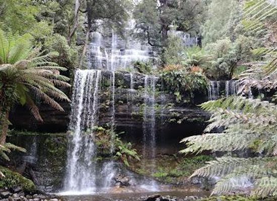 australia/mount-field-national-park/attraction/mount-field-visitor-centre