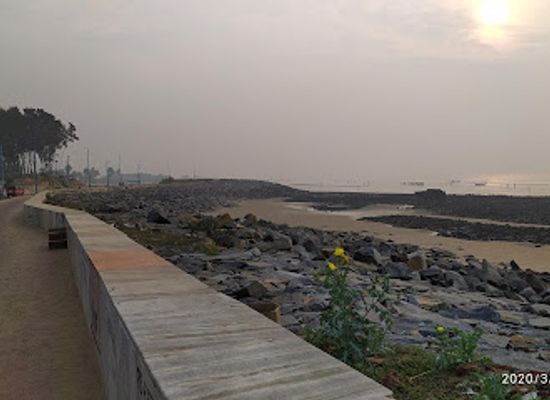 india/digha/attraction/pine-forest-beach