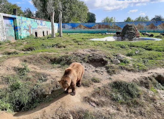 romania/dambovita/attraction/zoo-targoviste