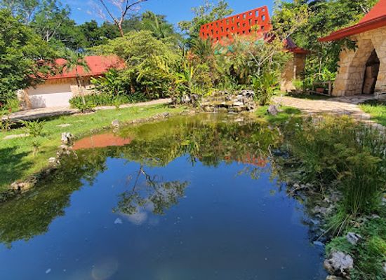 mexico/chiapas/palenque/attraction/aluxes-ecopark