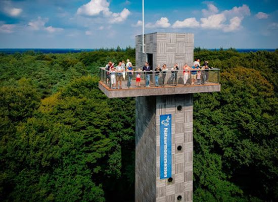 netherlands/utrechtse-heuvelrug/attraction/the-cape-forests
