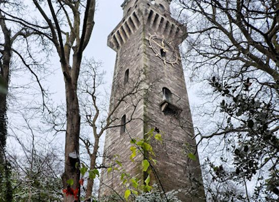 ireland/county-dublin/attraction/farmleigh-clock-tower