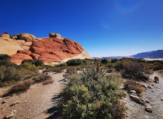 kentucky/henderson/attraction/red-rock-canyon-national-conservation-area