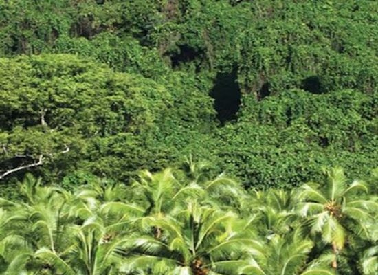 vanuatu/malakula/attraction/amal-crab-bay-ecological-reserve