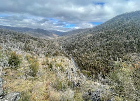 australia/kosciuszko-national-park/attraction/yarrangobilly-river-walk