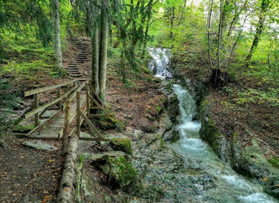 liechtenstein/triesen-region/attraction/schluchtenweg-sevelen