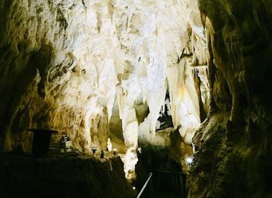 new-zealand/waitomo-caves/attraction/ruakuri-magarasi