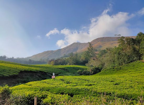 india/munnar/attraction/carmelagiri-elephant-park