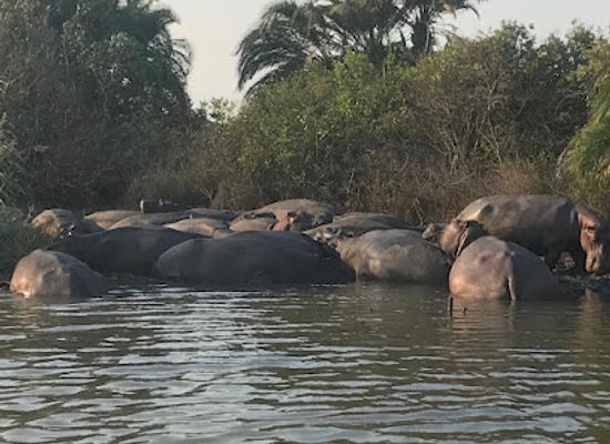 south-africa/elephant-coast/attraction/fannas-hippo-and-croc-tours-st-lucia-safaris
