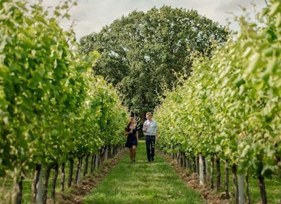 united-kingdom/south-east-england/attraction/gusbourne-estate