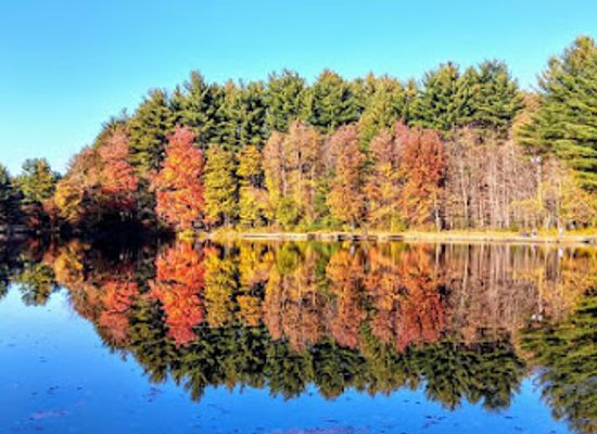 connecticut/hartford-county/attraction/winding-trails