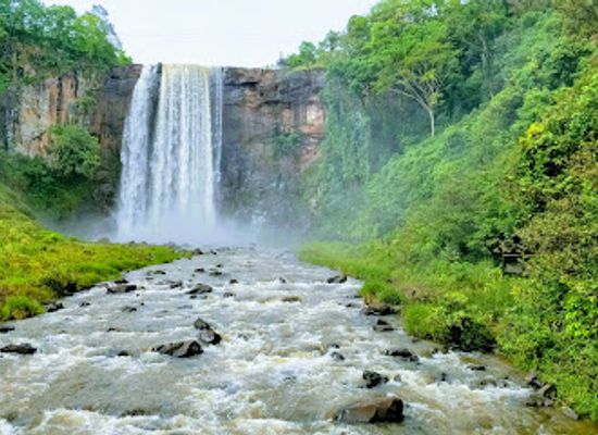 brazil/cerrado/attraction/natural-park-jumping-sucuriu