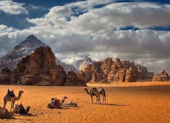 jordan/aqaba/attraction/jordan-horizons-tours-travel-agency-and-local-tour-operator-in-jordan