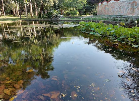 colombia/ciudad-perdida/attraction/bolivariano-museum-of-contemporary-art