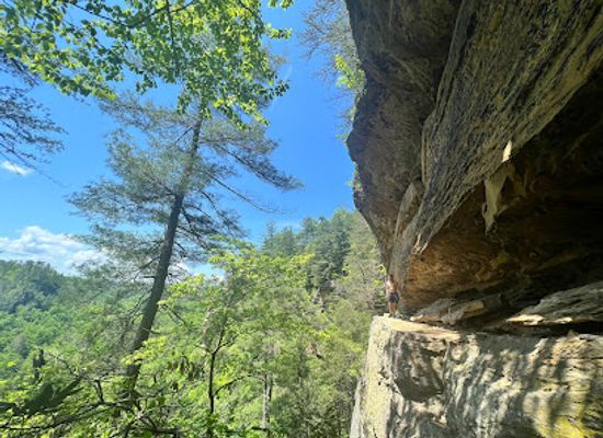 kentucky/red-river-gorge-geological-area/attraction/eagle-s-nest