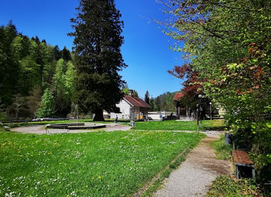 austria/dornbirn/attraction/mammutbaum