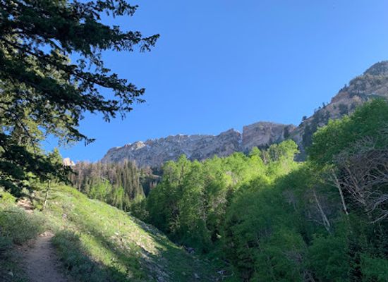 utah/west-desert/attraction/deseret-peak-wilderness