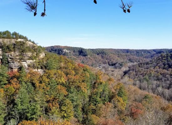 kentucky/red-river-gorge-geological-area/attraction/gladie-visitor-center