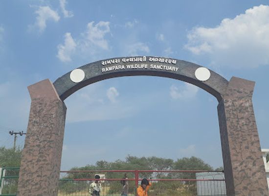 india/gujarat/attraction/rampara-wildlife-sanctuary
