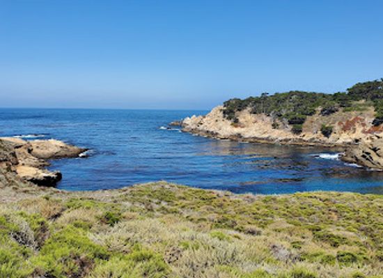 california/south-coast/attraction/whalers-cabin-museum