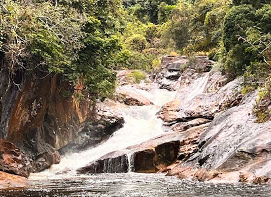 madagascar/sava/attraction/marojejy-national-park