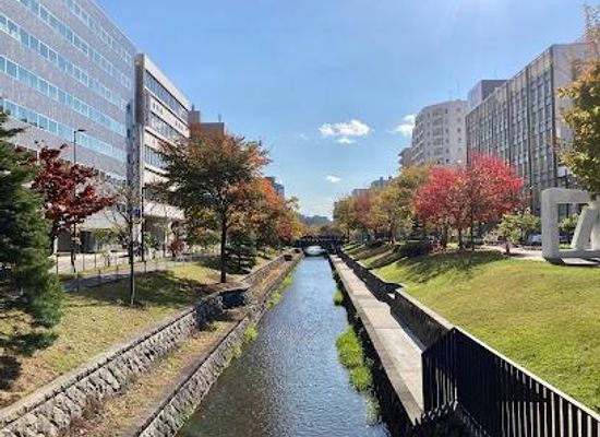 japan/sapporo/attraction/soseigawa-park