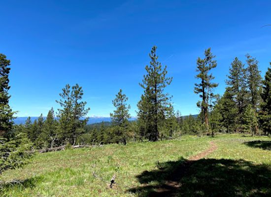 idaho/payette-lake/attraction/bear-basin-trailhead