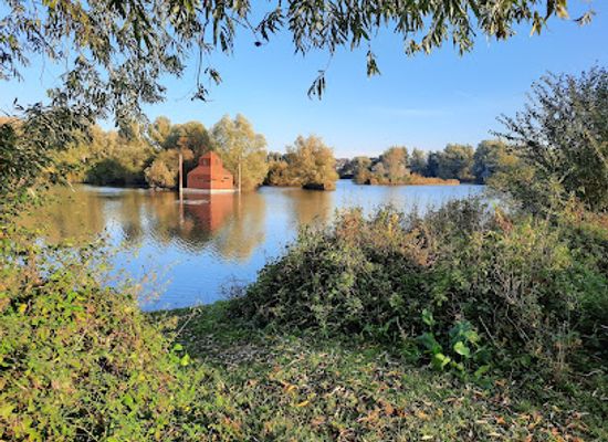 netherlands/arnhem/attraction/vogelkijkhut-meinerswijk