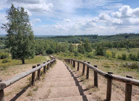netherlands/betuwe/attraction/kwintelooyen