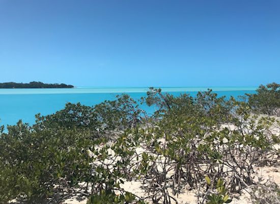 the-bahamas/andros-island/attraction/west-side-national-park